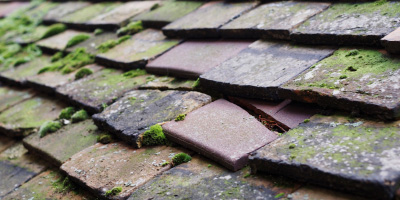 Harrold roof repair costs